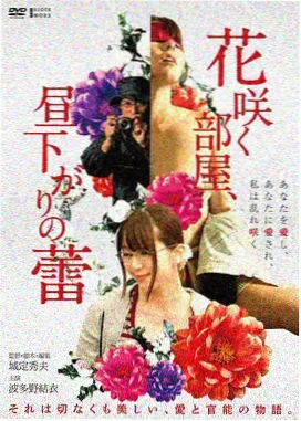 完片率专题
